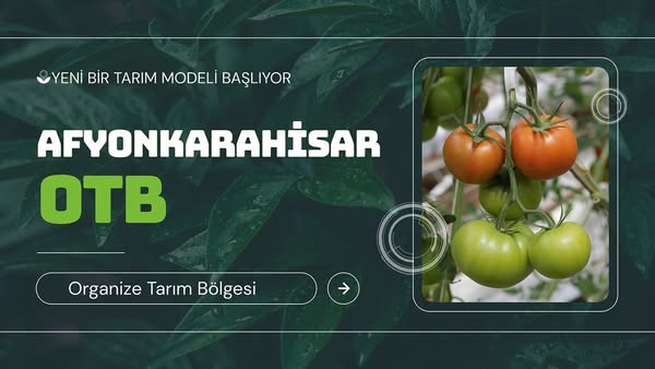Afyon'da Tarım Devrimi: Organize Tarım Bölgesiyle İhracat ve İstihdam Artacak